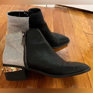 Circus by Sam Edelman two-tone spiked ankle boots - Size 7.5